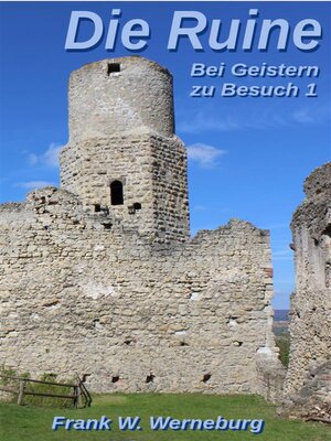 cover image of Die Ruine